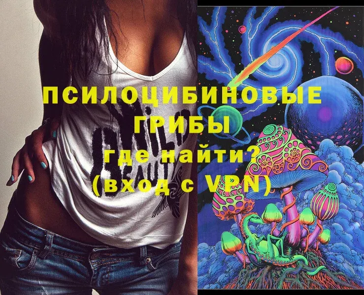 Галлюциногенные грибы Psilocybine cubensis  Вытегра 